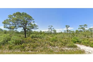 664 Hallmark Ave, Lake Placid, FL 33852 - MLS#A11825119