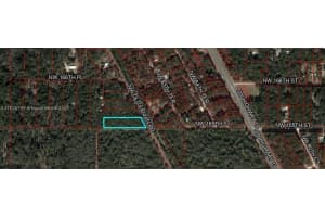  Old Fanning Rd Other, FL 32693 - MLS#A11825799