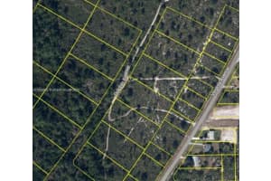 719 Dolphin Ave, Lake Placid, FL 33852 - MLS#A11825802