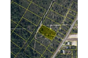 719 Dolphin Ave, Lake Placid, FL 33852 - MLS#A11825802