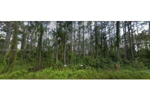 8623 Lucy Drive Sebring, FL 33872 - MLS#A11825888