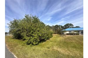 131 Blue Moon Avenue Lake Placid, FL 33852 - MLS#A11825926