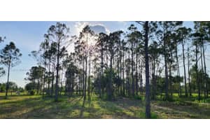 16322 Nw 294 St Okeechobee, FL 34972 - MLS#A11827666