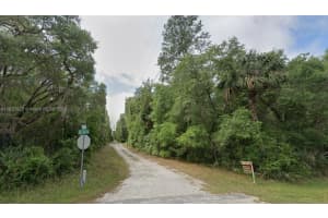 Lot 34&59 Ne 138th Ct Other, FL 32134 - MLS#A11827825