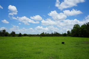 Angus Lane Fort Myers, FL 33905 - MLS#A11829487
