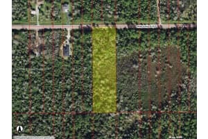 0 Shady Hollow Blvd E Naples, FL 34120 - MLS#A11829710