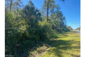 0 Shady Hollow Blvd E Naples, FL 34120 - MLS#A11829710