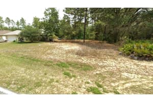 1139 W Hampshire Citrus Springs, FL 34434 - MLS#A11830921