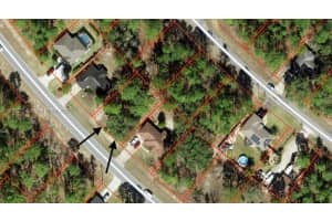 1139 W Hampshire Citrus Springs, FL 34434 - MLS#A11830921