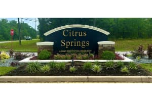 1139 W Hampshire Citrus Springs, FL 34434 - MLS#A11830921