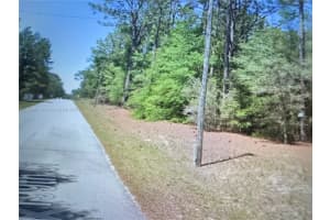 5565 Sw Sw 199th Ct Dunnellon, FL 34431 - MLS#A11832011