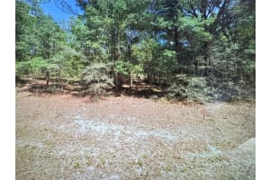 5565 Sw Sw 199th Ct Dunnellon, FL 34431 - MLS#A11832011
