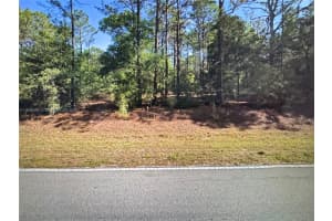 Dunnellon S Undermined Dunnellon, FL 34431 - MLS#A11832492