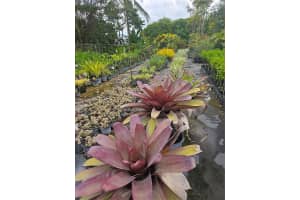 31875 Sw 197th Ave Homestead, FL 33030 - MLS#A11833307