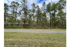 0 Oleander Drive Lake Wales, FL 33898 - MLS#A11834091