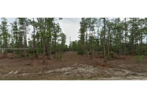 2005 E 13th St Lehigh Acres, FL 33971 - MLS#A11837246
