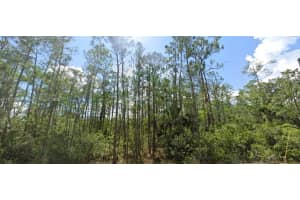 1903 Weller Ave Lehigh Acres, FL 33972 - MLS#A11837257