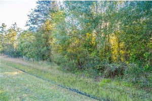 0 N Dallas Blvd Orlando, FL 32833 - MLS#A11837812