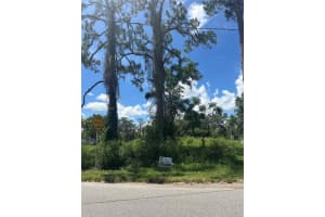257 Moon Glow Lake Placid, FL 33852 - MLS#A11843522