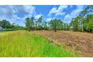 215 Appaloosa Ave Other, FL 33440 Sold 01/05/26