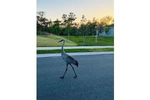 1121 E 172nd Court Bradenton, FL 34212 - MLS#A11850035