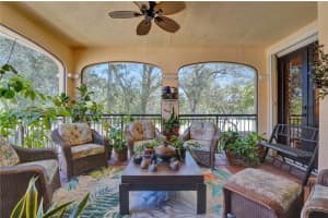 1577 Passion Vine Cir 9-2, Weston 1577 Passion Vine Cir 9-2, Weston