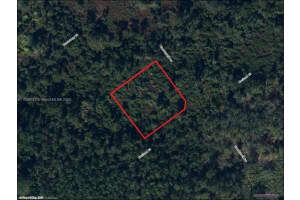 1214 Haviland Street Lake Placid, FL 33852 - MLS#A11858948
