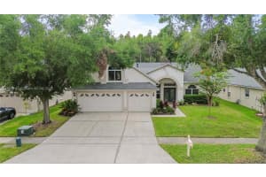 10217 Timberland Point Drive, Tampa