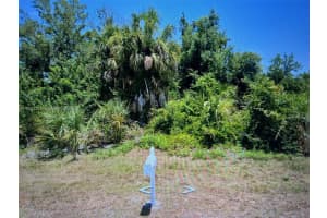 13436 Rayburn Port Charlotte, FL 33981 - MLS#A11863329