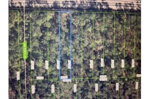 2651 Hammock Rd Sebring, FL 33872 - MLS#A11863812