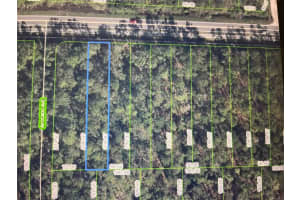 2667 Hammock Rd Sebring, FL 33872 - MLS#A11863821