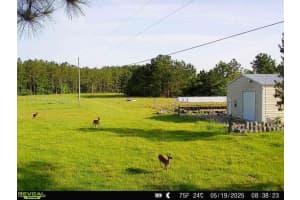 MLS# A11864658, Other, Florida 32336