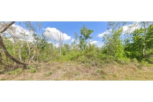 3007 Cacao Rd Lake Placid, FL 33852 - MLS#A11864933