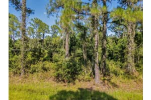 8176 Mantua Ave Sebring, FL 33872 - MLS#A11865160