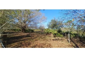 14675 Arbuckle Creek Road Sebring, FL 33870 - MLS#A11866325