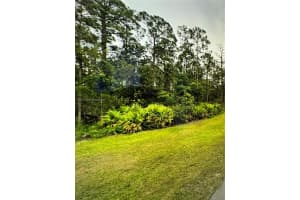 5265 NERVIA ST, Sebring, FL 33872 - MLS#A11866739