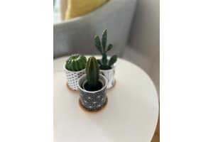 5880 Collins Ave 1007 Miami Beach, FL 33140 - MLS#A11869203