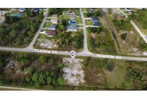 2906 MEADOW RD, Lehigh Acres, FL 33974 - MLS#A11870030