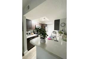 15600 SW 106th Ln 1007, Miami, FL 33196 - MLS#A11870649