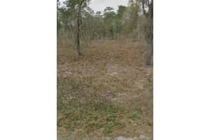 Undetermined Sw 130th Ave Dunnellon, FL 34432 - MLS#A11870873