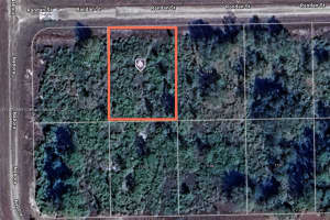 1132 Randan St E, Lehigh Acres, FL 33974 - MLS#A11872463