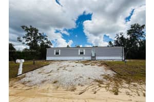 334 Oak Crest Drive Other, FL 32148 - MLS#A11874399