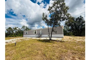 334 Oak Crest Drive Other, FL 32148 - MLS#A11874399