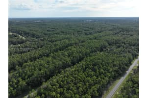 598 E Marquette Ln Citrus Springs, FL 34434 - MLS#A11874770