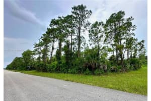 1247 Rake ST E, Lehigh Acres, FL 33974 - MLS#A11875791