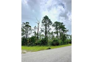 1247 Rake ST E, Lehigh Acres, FL 33974 - MLS#A11875791