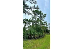 1247 Rake ST E, Lehigh Acres, FL 33974 - MLS#A11875791