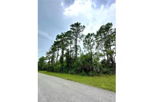 1247 Rake ST E, Lehigh Acres, FL 33974 - MLS#A11875791