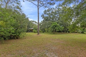 1241 Country Ln Other, FL 33558 - MLS#A11876020