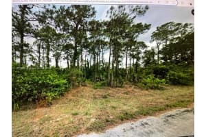 1710 Lake Ave Lehigh Acres, FL 33972 - MLS#A11877828